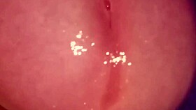 glande drooling thinking of you softcock solo