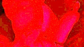 freaky ebony lesbians licking pussy and strapon fucking in hot compilation 🔥👅