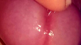 glande drooling thinking of you softcock solo