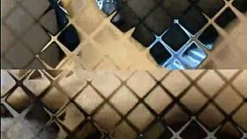 glamour girls get wild licking and scissoring pussies