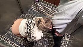 hey fuck this cute wife harder in the hotel elevator to get caught