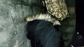 Thrilling public outdoor sex and peeing behind church ignites couple's passion