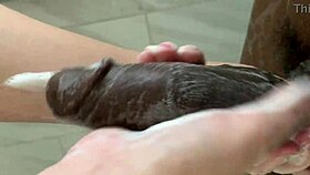 cum deep in my asian ass please, first time anal creampie feels hugee