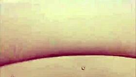 he pounds the amateur hottie senseless in the seedy motel room