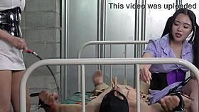 Japanese mistresses tease masochists nipples before intense cbt domination training