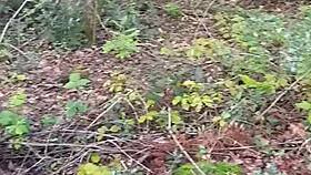 European slave flashes tits in forest for bent over humiliation and cum