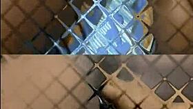 glamour girls get wild licking and scissoring pussies