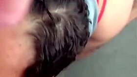I'm sucking this monster cock like crazy homemade