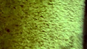 damn mrnomercy wrecks that ebony pussy id pay daily to get demolished