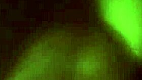 she loves every seductive strip and rip of clothes