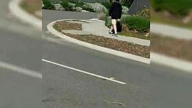 Babe Fucks Dildo in Heels Outside Neighbors' House