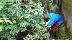 wanna join me for oiled sex with plantain right here in the garden babe?