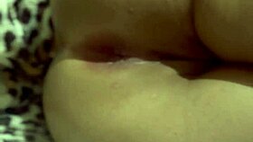 curvy latina comes home from party wasted, i sneak in and finger her juicy pussy and ass with my cum