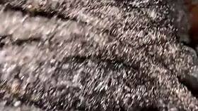 Check out latenightbreeze's first amateur homemade clip with neighbors.