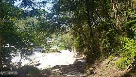 Wild AMAZON jungle captures naked girl's voyeur exposure!