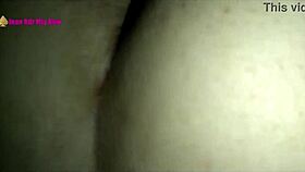 jean rdz hotwife begs her bull to breed her fat bbw body