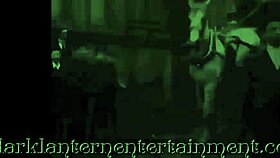 Why Vintage Hairy Beavers Still Tease So Wildly?