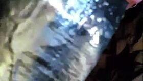 sissy shemale slut worships ass and cock in hot fetish compilation