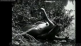 Why Vintage Hairy Beavers Still Tease So Wildly?