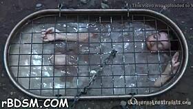 Beautiful Brunette Slave's Fuck Holes Stuffed In Hardcore BDSM Toy Play