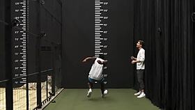 imagine the fastest car racing a cheetah head-to-head