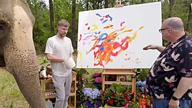 imagine the fastest car racing a cheetah head-to-head