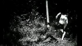 Why Vintage Hairy Beavers Still Tease So Wildly?