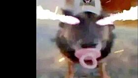 Check out OSU mashup Hechizeros Band x Koji Kondo athletic insane!