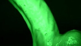 wanna feel this sticky slimy latex glove handjob tease?