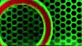 How does busty brunette josie jaxxon deepthroat rome majors' big black cock before banging?