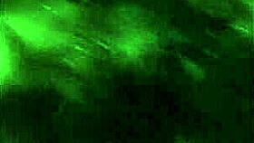 did hubby lick my pussy so good while hiding?