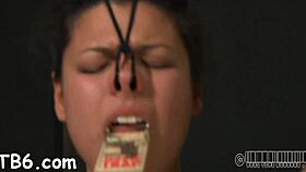 caged beauty whimpers as whip cracks her smooth ass before nasty anal pounding 😩🔥