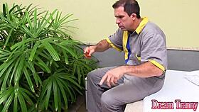 tgirl amanda ferraz double anal fucked bareback by black white cocks 😈🍆💦