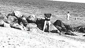 Huge cocks swing free on nudist beach voyeur style