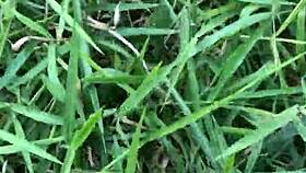 i called him over fucked wildly in the bushes