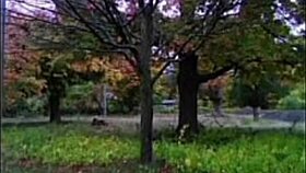 i goofed up sharing first time love song remakes from old tunes