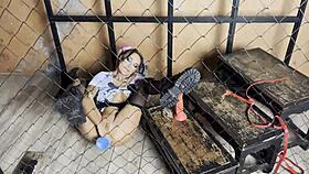 harley quinn monika fox pounds holes with huge baseball bat