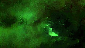 i crave that nasty anal assfucking slut ride