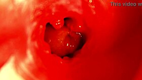 pregnant babe moans through huge toy orgasm close up creampie play 😩💦