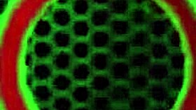 jenna foxx big tits n wet pussy make me lick her clit crazyy