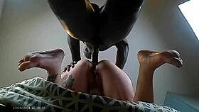Exotic curly Betty Buttplug's fat ass holes pounded by black Marc Orel