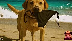 Lucy's innocent beach day turns unexpectedly revealing in ai enf story