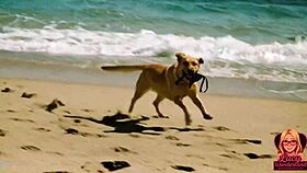 Lucy's innocent beach day turns unexpectedly revealing in ai enf story