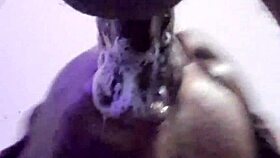 A couple delivers perfect bareback blowjob with cum swallow finish