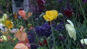 Busty brunette slut rides Manuel's massive cock deep