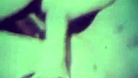 Vintage hairy group fuck explodes in retro ecstasy!