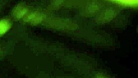 beautiful bollywood chick strips nude teasing slow