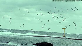 Son Tung M-TP Sings Noi Nay Co Anh Official Video