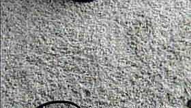 Seductive Pleaser Heels Tease Revealed