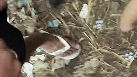 gifted guys group fuck in bushes with hairy cum loads